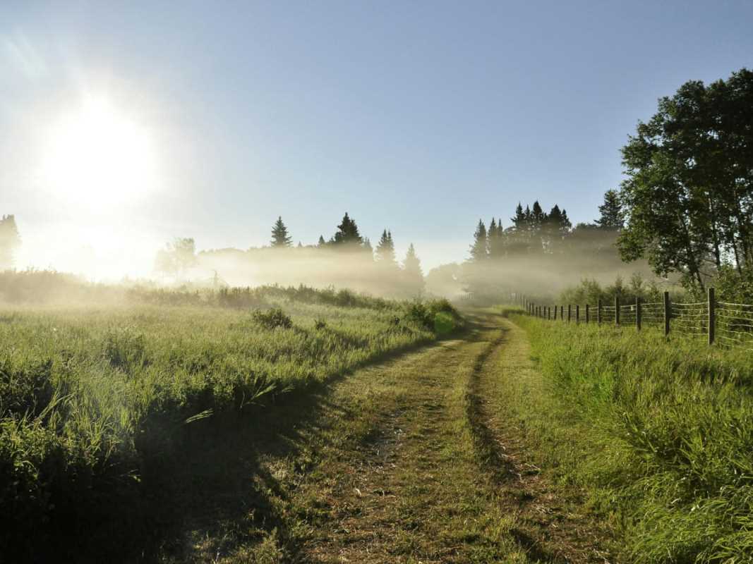 5 Pasture Management Techniques That Benefit Livestock and Land