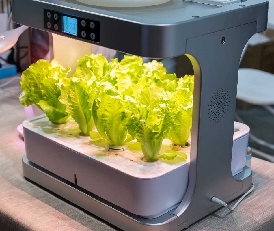 The Art and Science of Agriculture