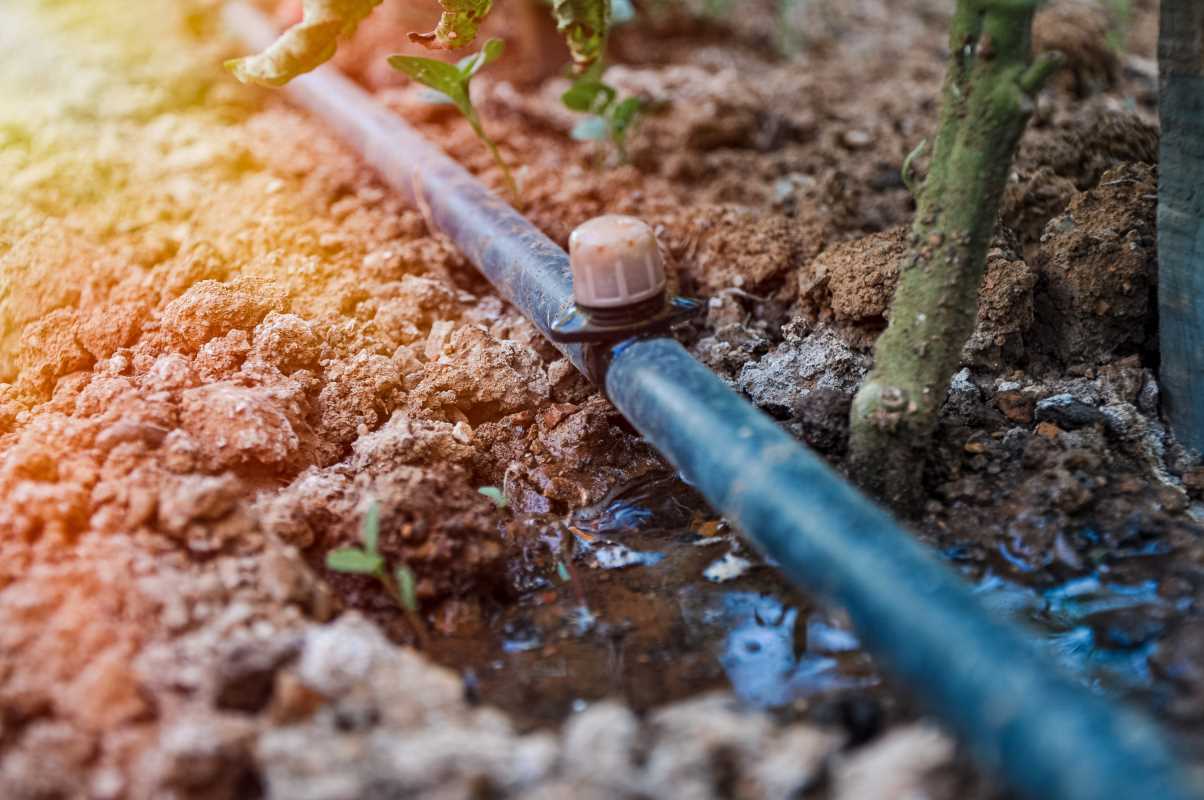 These are Our Favorite Sustainable Irrigation Methods for Protecting Water and Soil